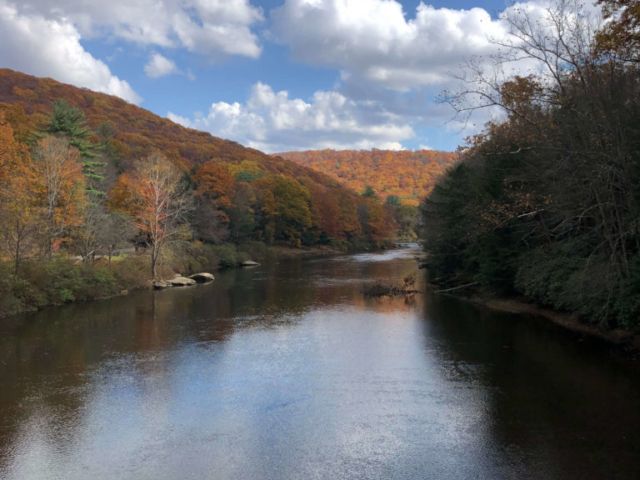 Clarion River Shot