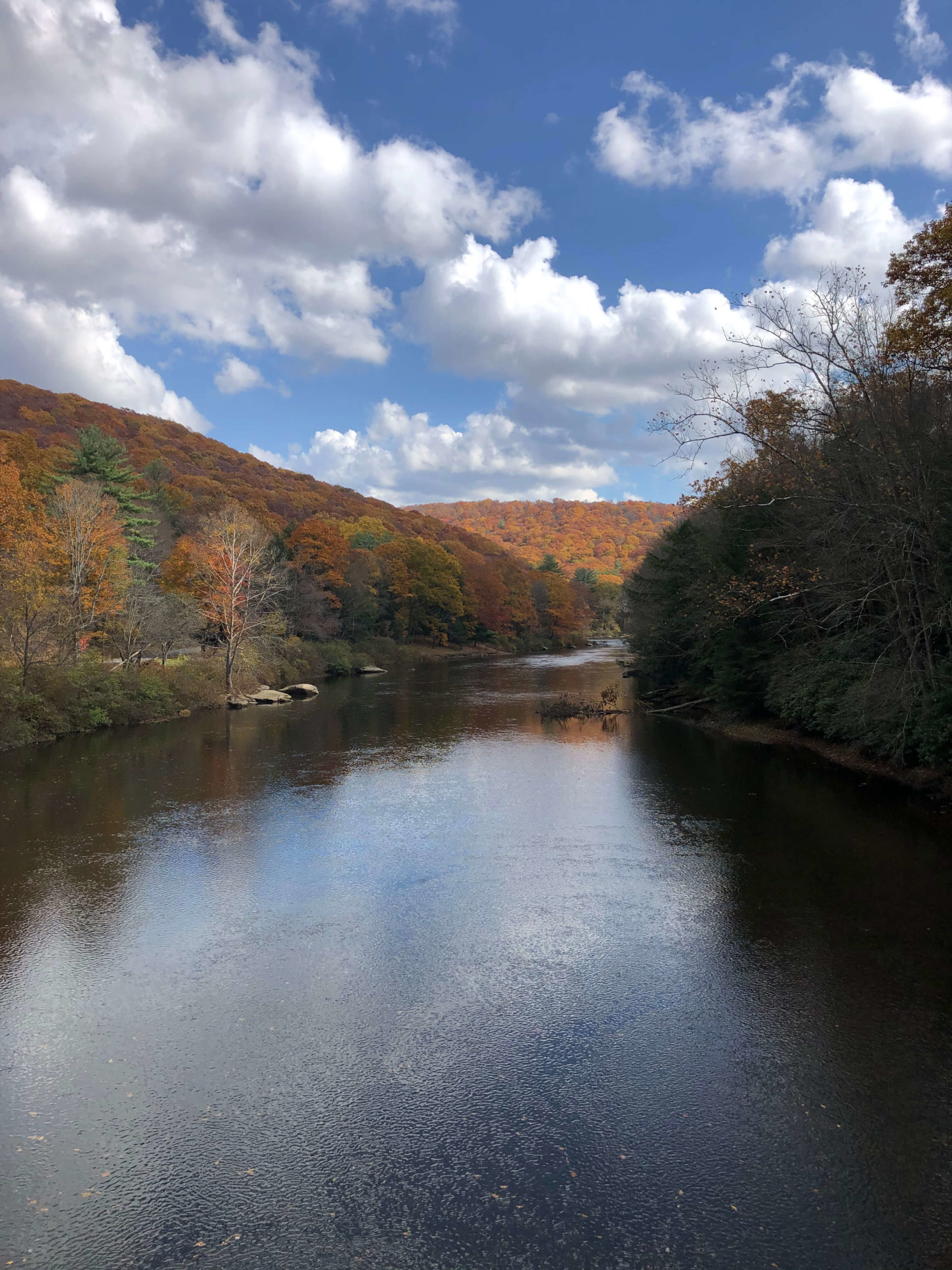 Clarion River Shot