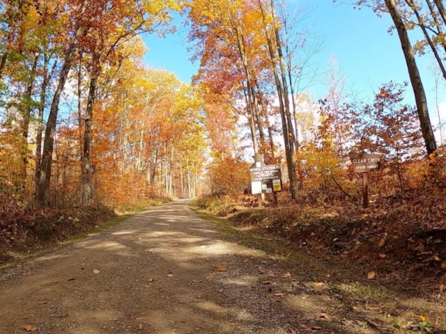 Clear Creek - Cook Forest Gravel Route - Terrain #11