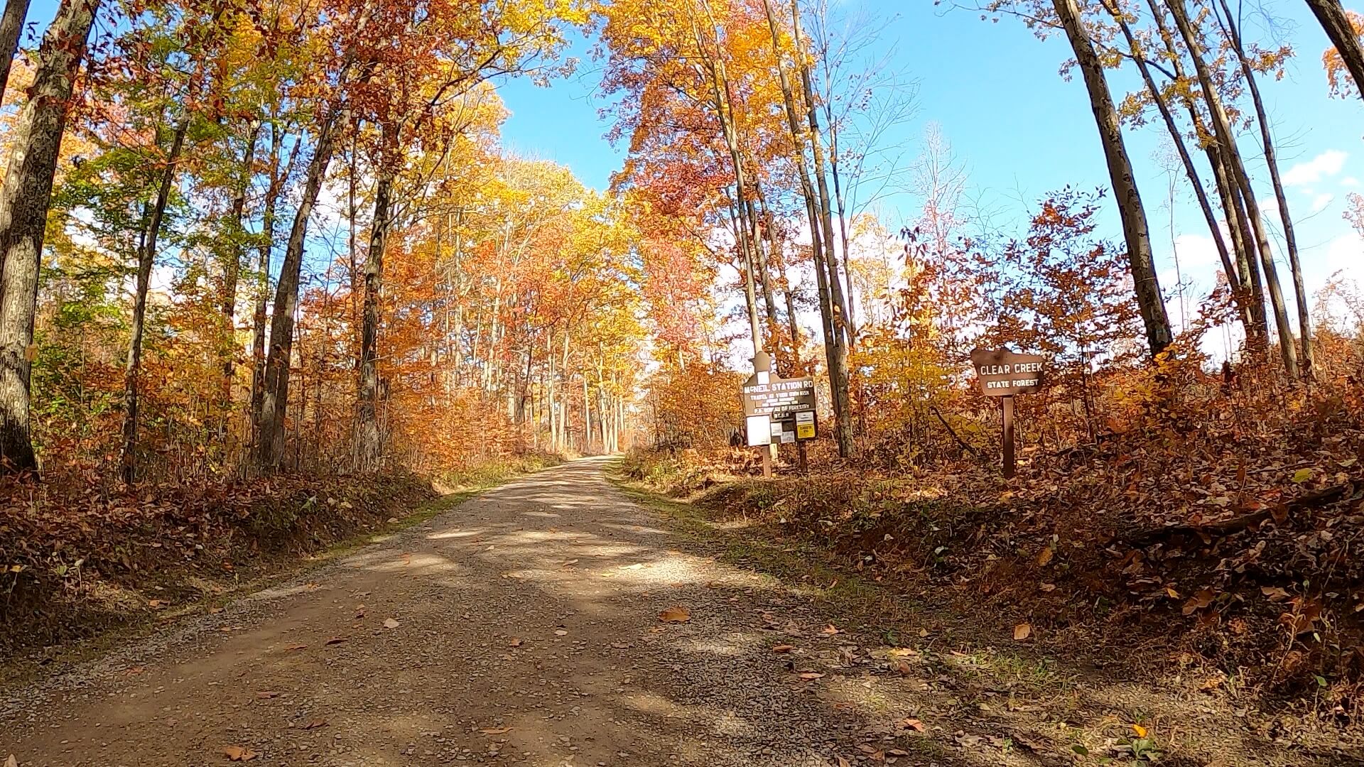 Clear Creek - Cook Forest Gravel Route - Terrain #11