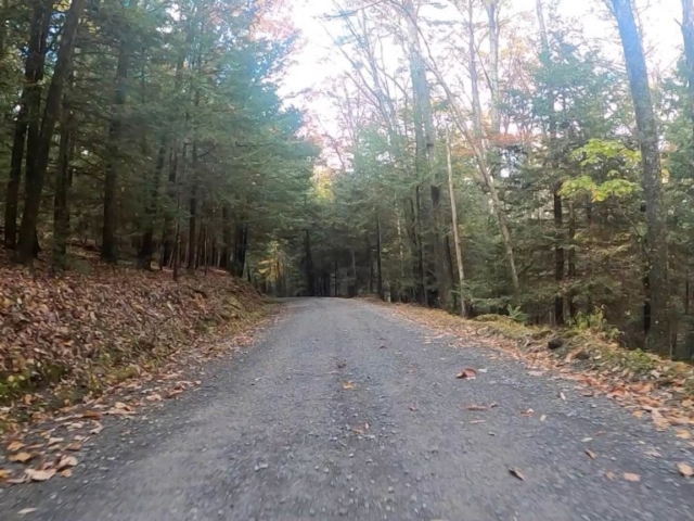 Clear Creek - Cook Forest Gravel Route - Terrain #13