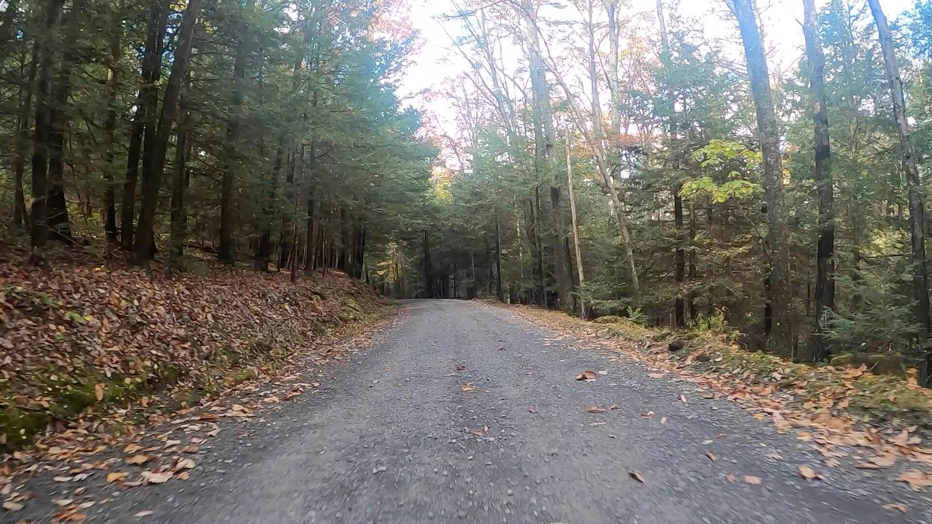 Clear Creek - Cook Forest Gravel Route - Terrain #13