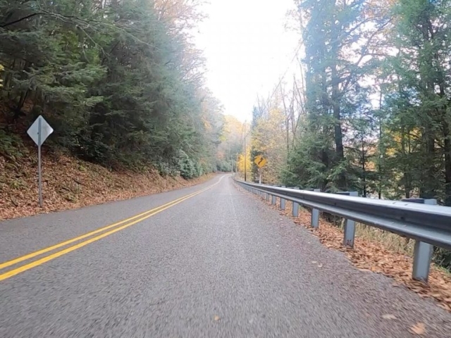 Clear Creek - Cook Forest Gravel Route - Terrain #14