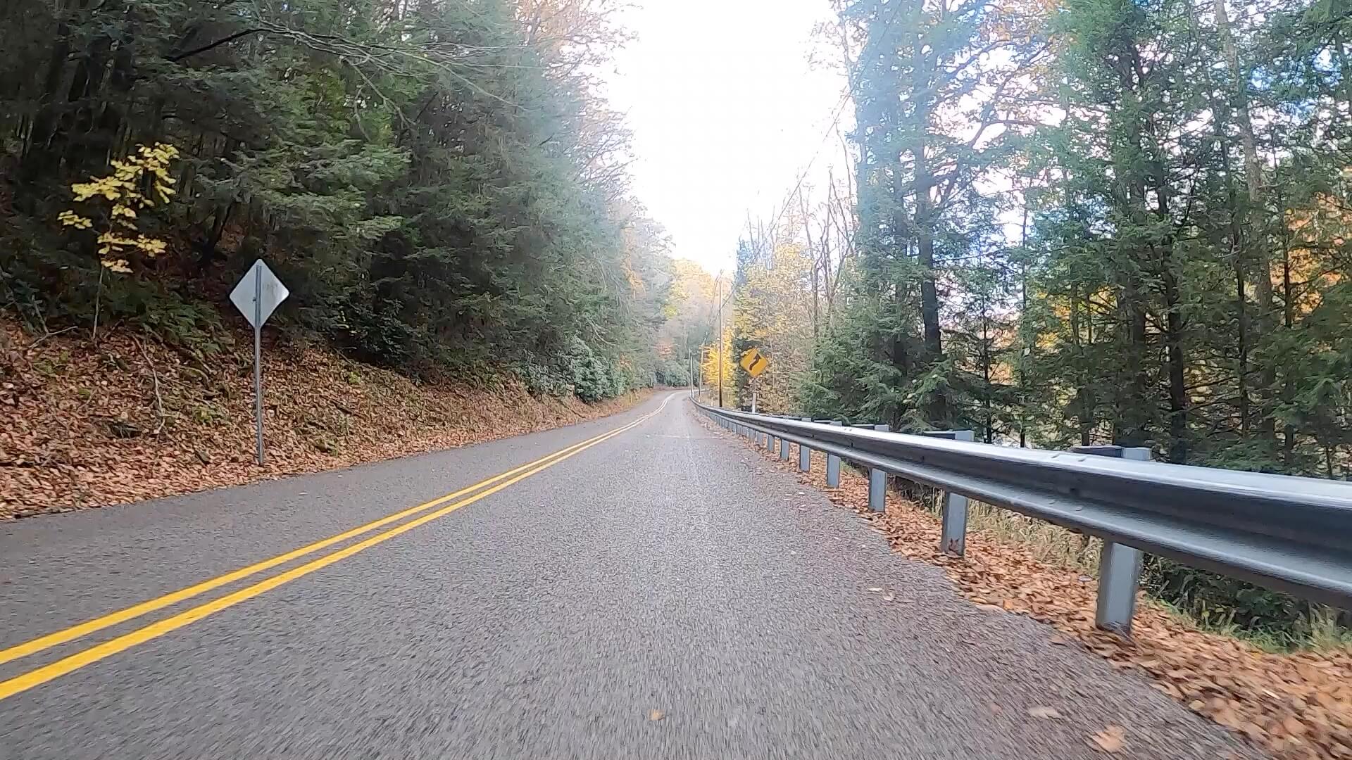 Clear Creek - Cook Forest Gravel Route - Terrain #14