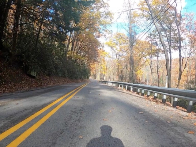 Clear Creek - Cook Forest Gravel Route - Terrain #16