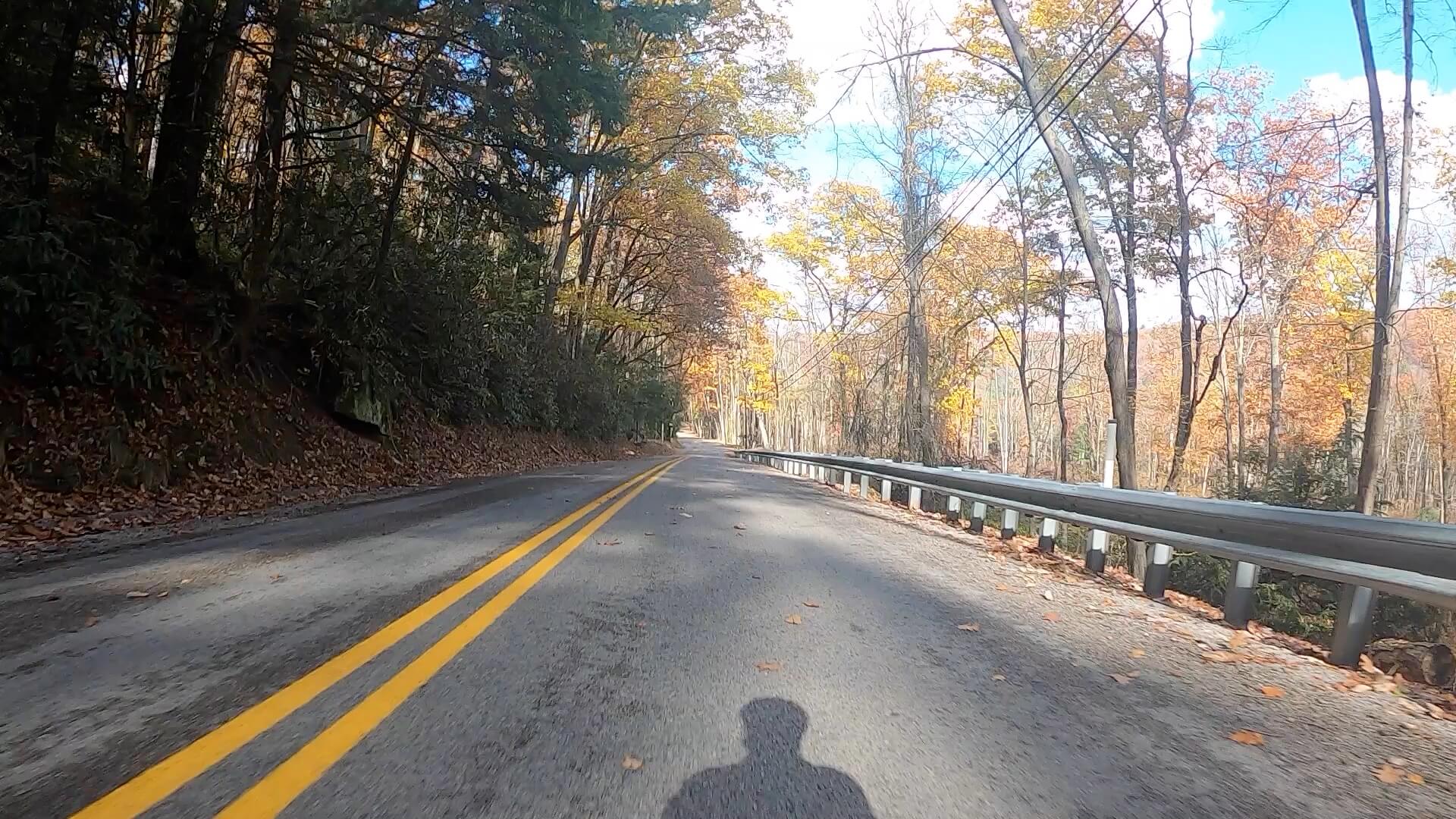 Clear Creek - Cook Forest Gravel Route - Terrain #16