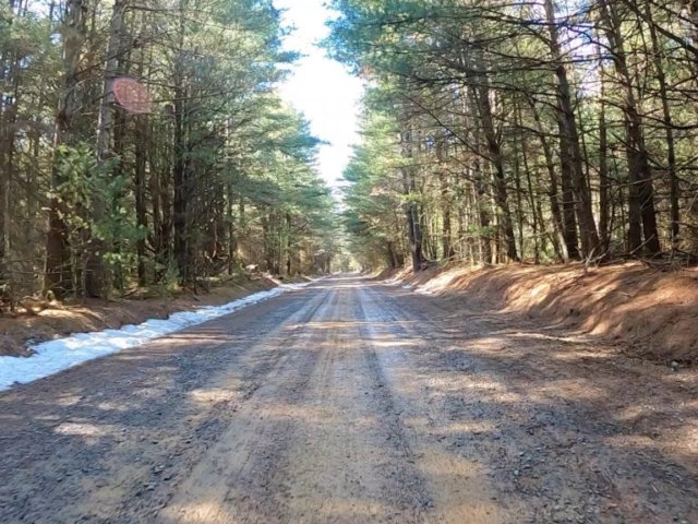 Clear Creek - Cook Forest Gravel Route - Terrain #17