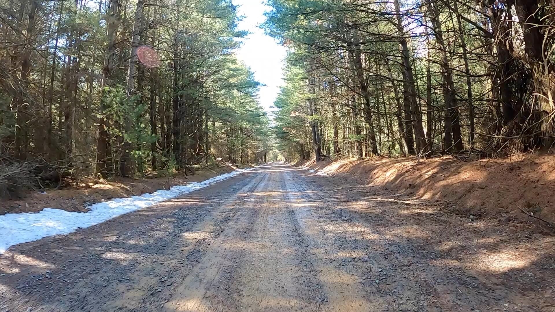 Clear Creek - Cook Forest Gravel Route - Terrain #17