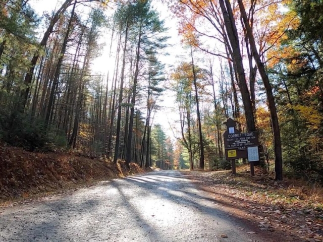 Clear Creek - Cook Forest Gravel Route - Terrain #2