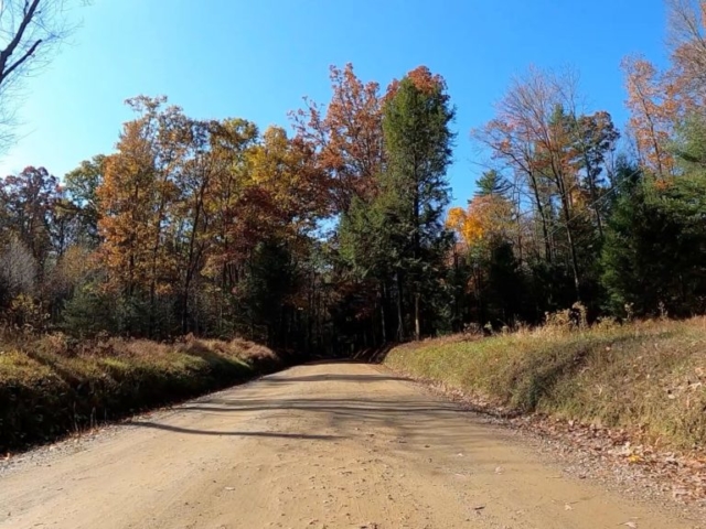 Clear Creek - Cook Forest Gravel Route - Terrain #5