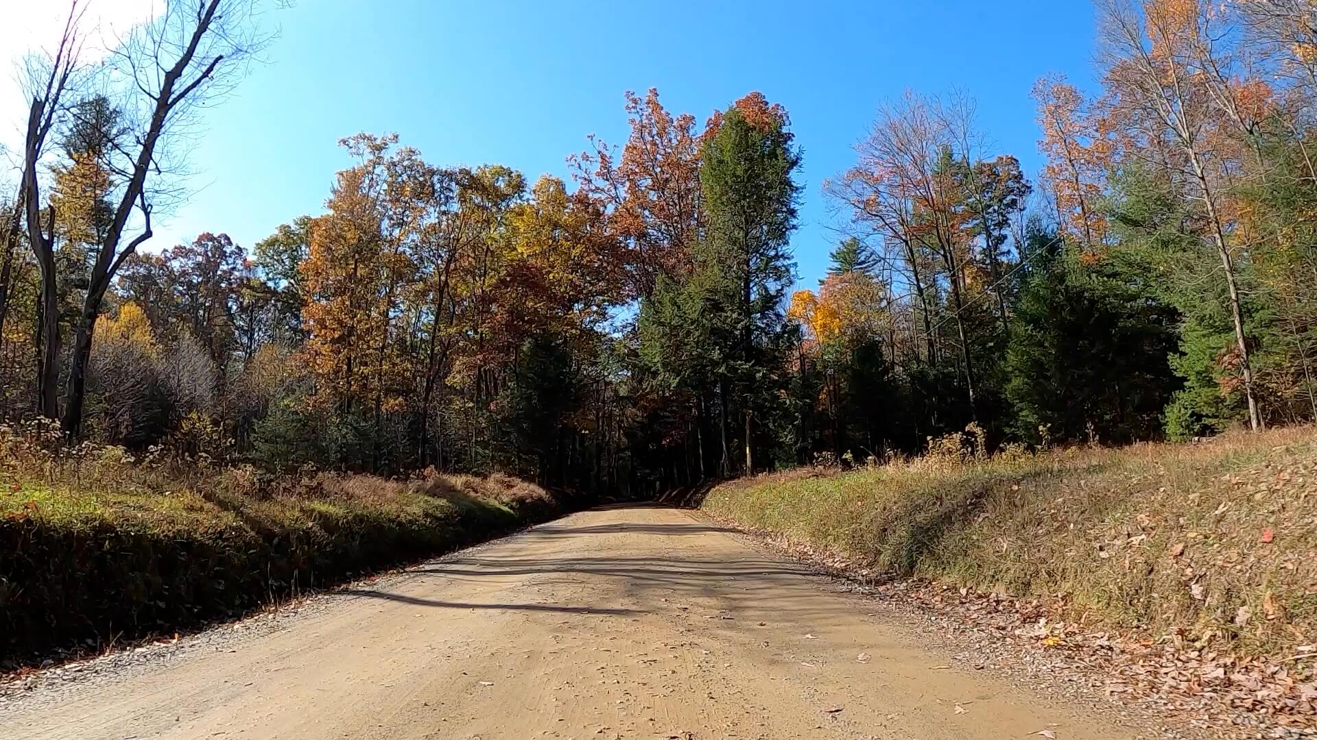 Clear Creek - Cook Forest Gravel Route - Terrain #5