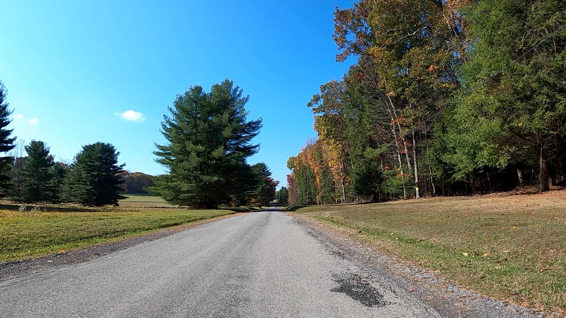 Clear Creek - Cook Forest Gravel Route - Terrain #6