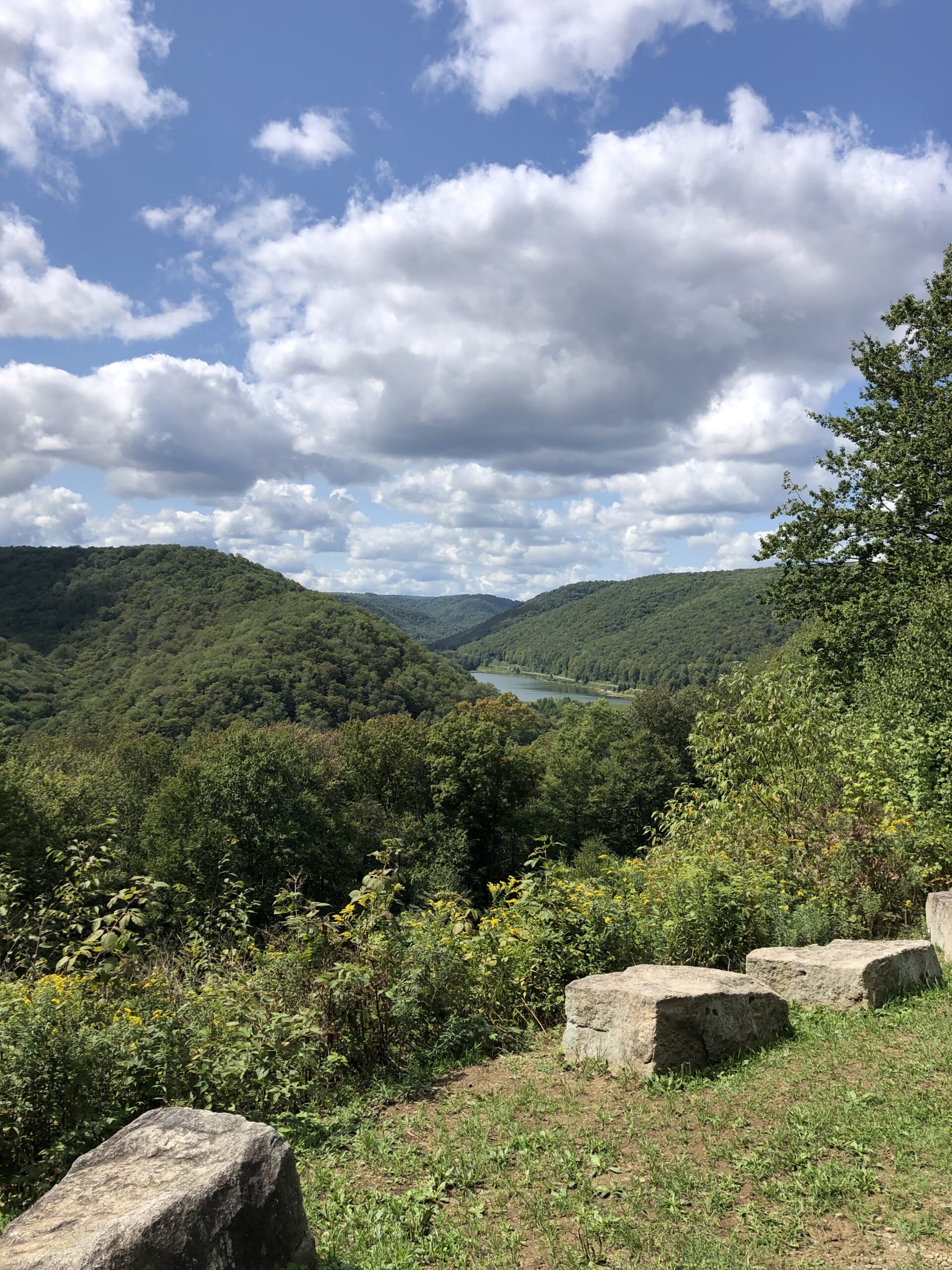 Susquehannock State Forest / Lyman Run State Park Gravel Route - Lyman Lake Vista