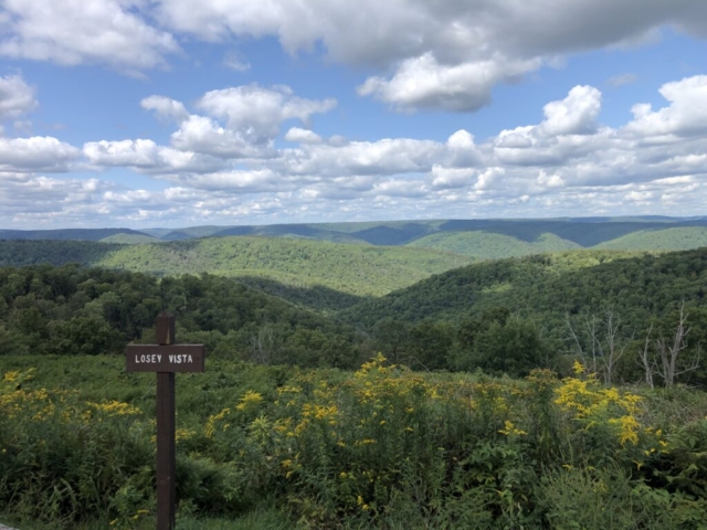 Susquehannock State Forest / Lyman Run State Park Gravel Route - Losey Vista