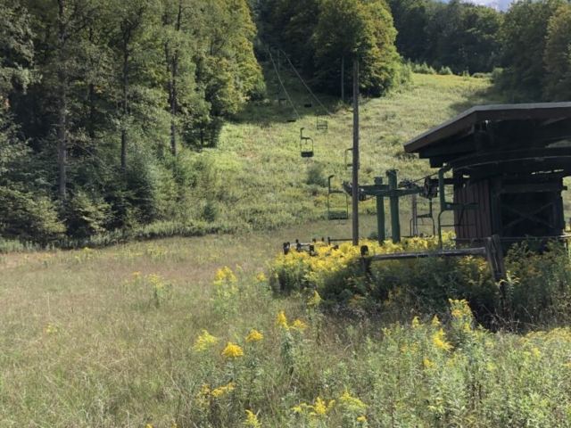 Susquehannock State Forest / Lyman Run State Park Gravel Route - Denton Hill State Park Ski Hill Reminensce