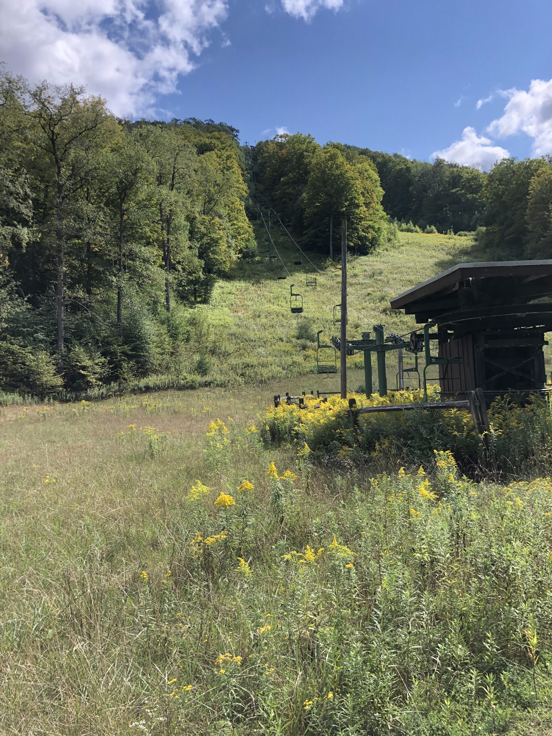 Susquehannock State Forest / Lyman Run State Park Gravel Route - Denton Hill State Park Ski Hill Reminensce