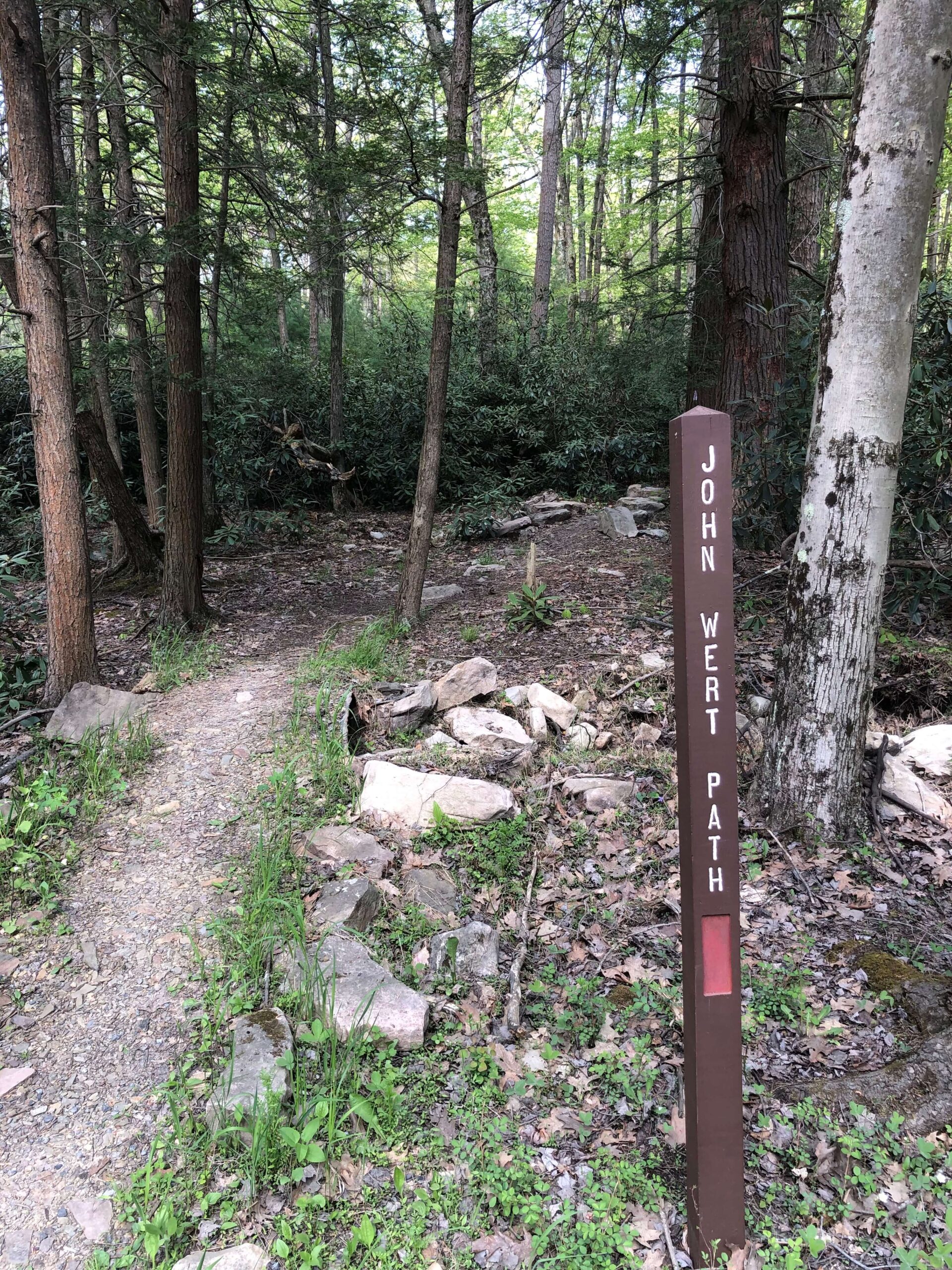 Social Media Shares: Rothrock State Forest Gravel/MTB Route w/ Tussey Ridge Trails - John Wert Path