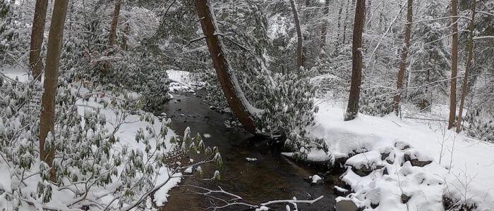 Winter Safety on PA State Forest Roads