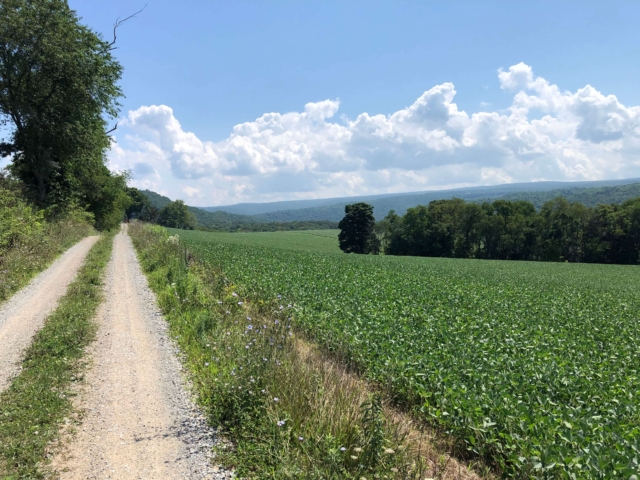 Laurel Highlands Gravel Routes Collection - Ohiopyle Route #1 Farm Road