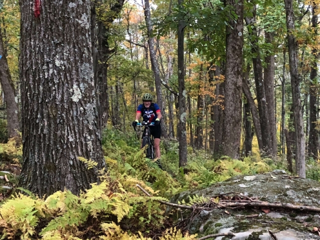 Laurel Highlands Gravel Routes Collection - Trail Shot