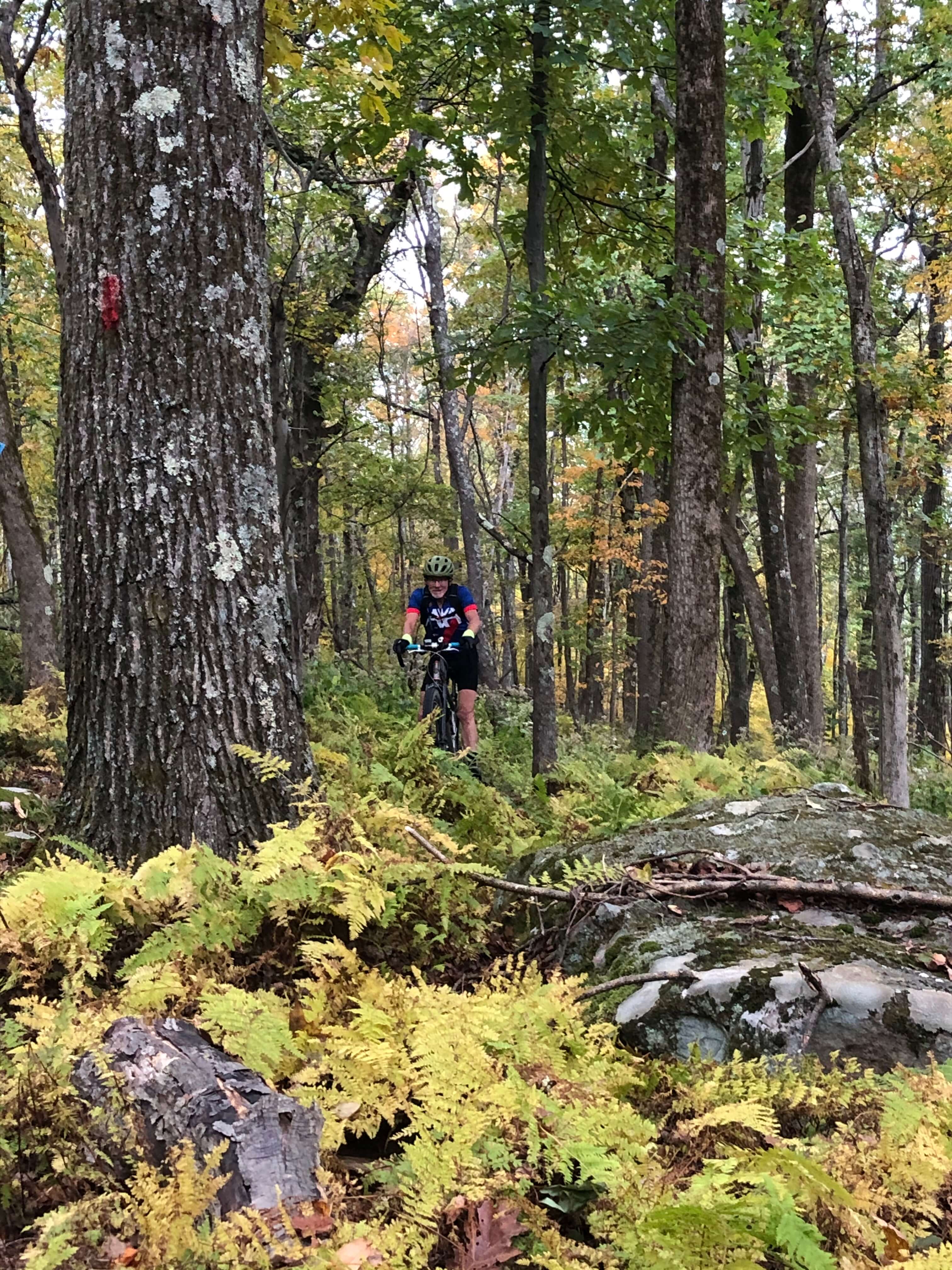 Laurel Highlands Gravel Routes Collection - Trail Shot