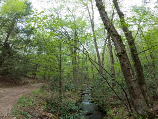 Griz Guides Seven Mountain Enduro Epic Route - Little Poe Road