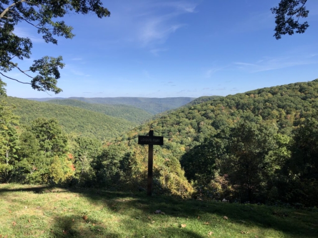 PLR - Sizerville - Elk State Forest - Logue Run Vista