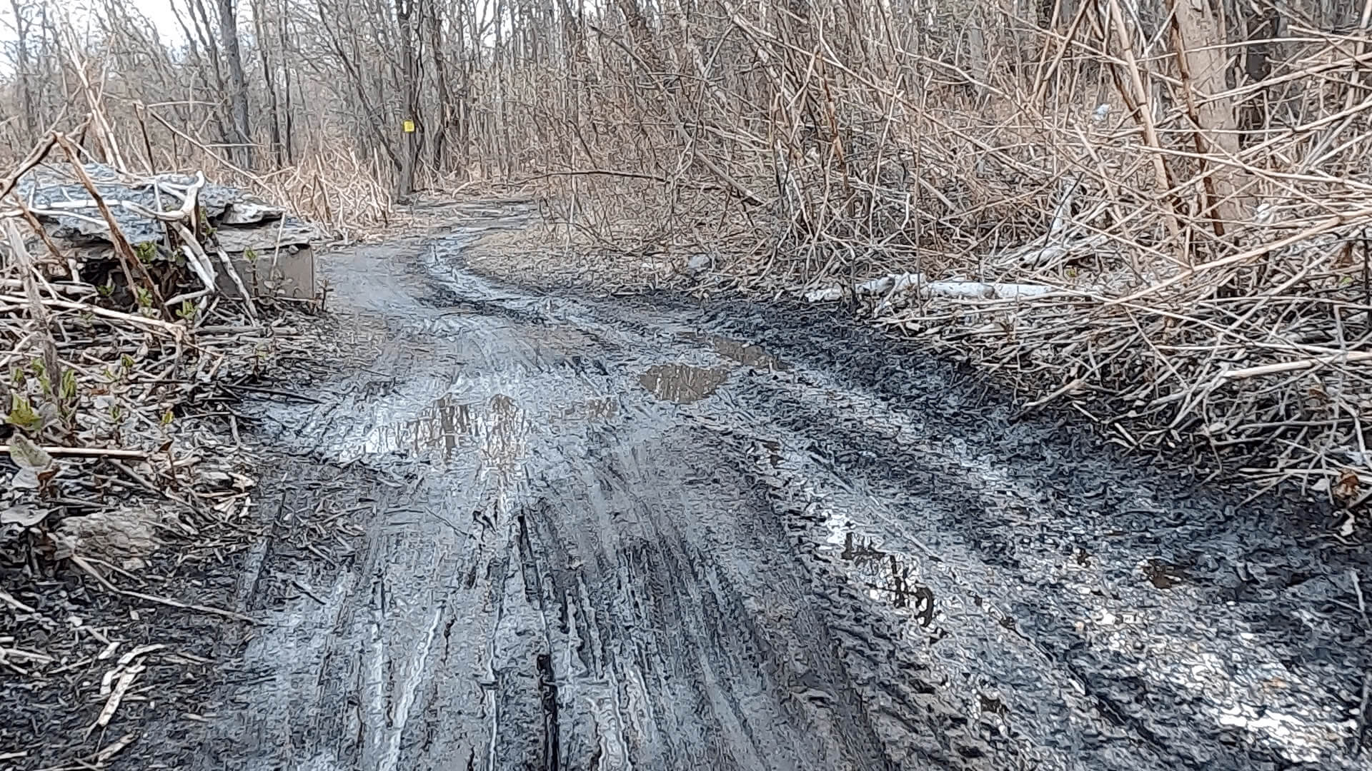 Lu Lacka Wyco Hundo - 2022 - Back Alley Singletrack #3