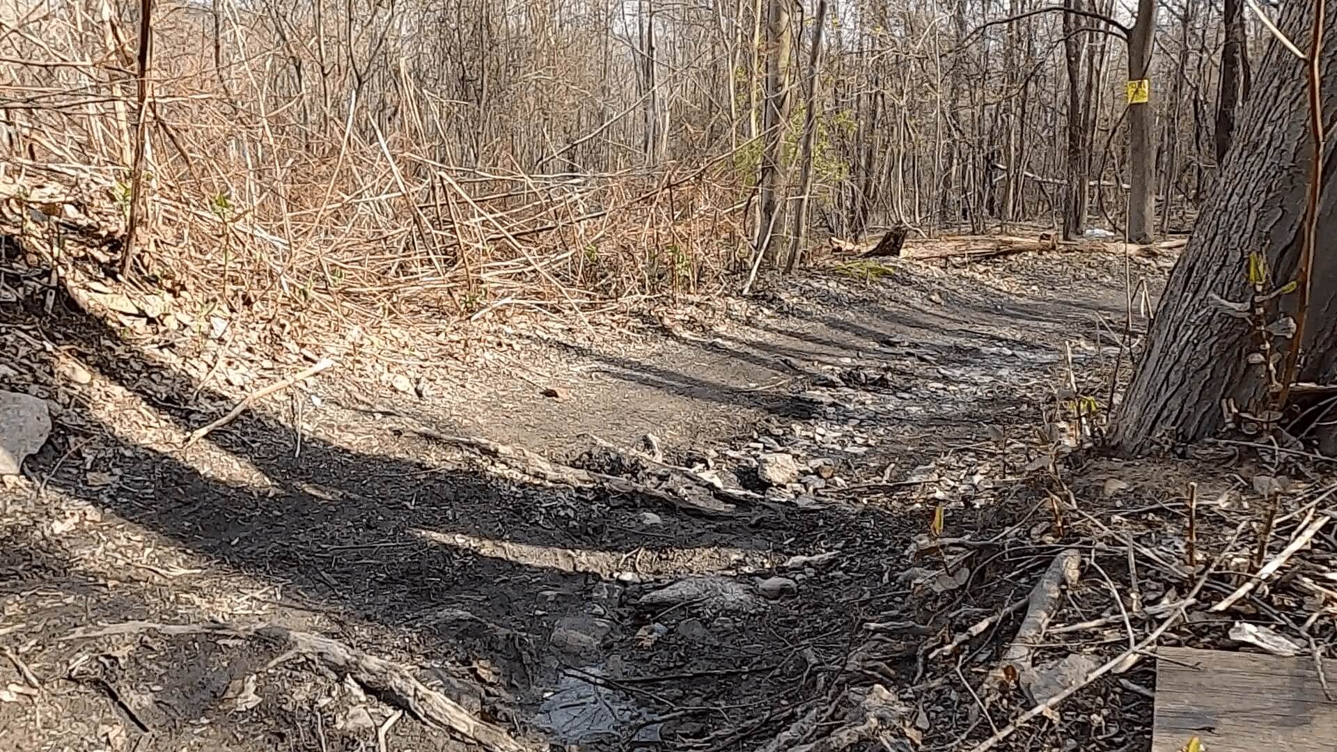 Lu Lacka Wyco Hundo - 2022 - Back Alley Singletrack #4