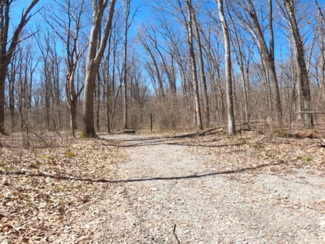 Mt. Streams Trail Tour - Another Branch of Mt. Streams Across Route 381 to Blair Bros Rail Grade - Close to Camp Run Rd Lot