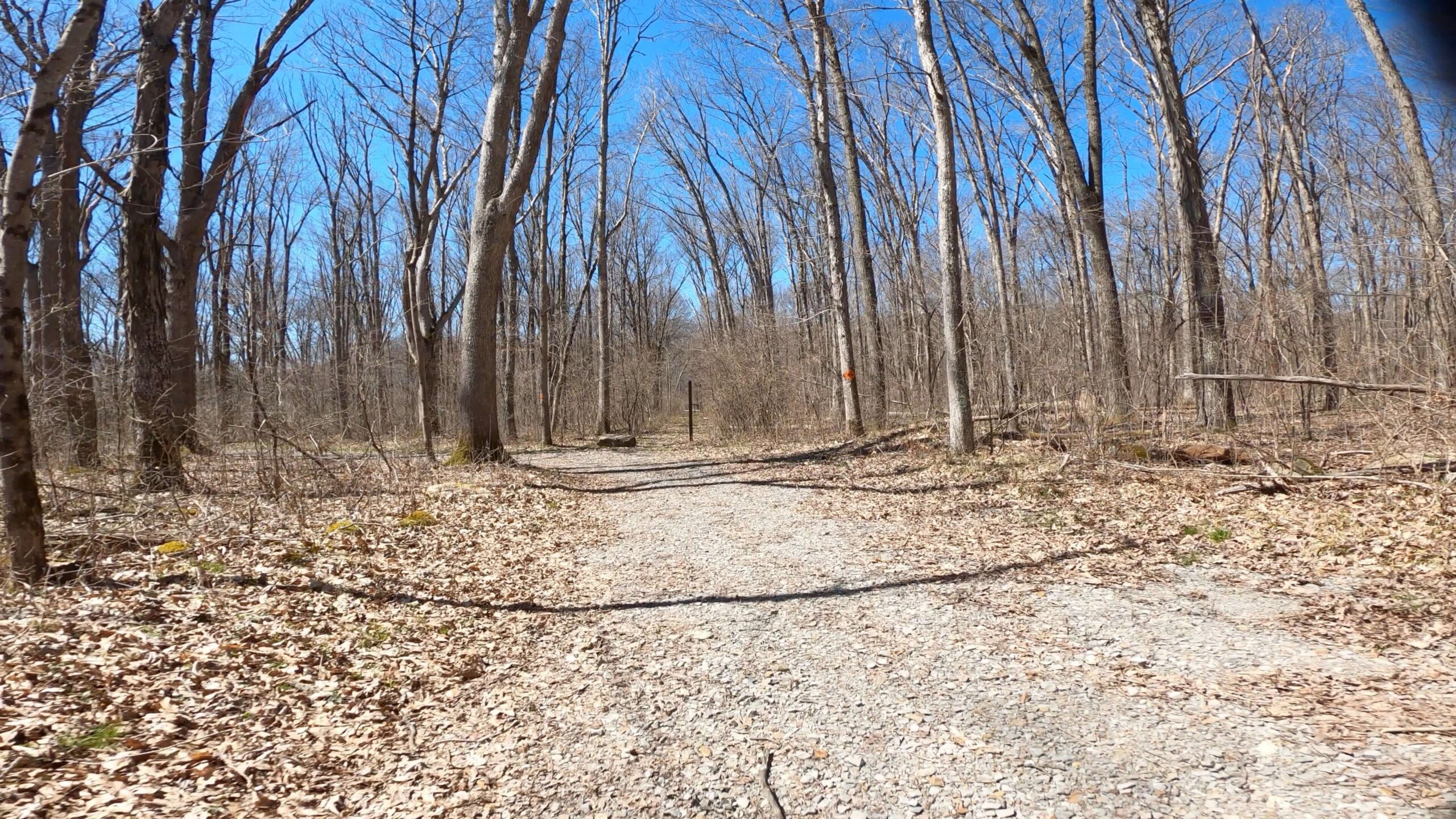 Mt. Streams Trail Tour - Another Branch of Mt. Streams Across Route 381 to Blair Bros Rail Grade - Close to Camp Run Rd Lot