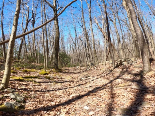 Mt. Streams Trail Tour - Another Shot of Rocky Descent