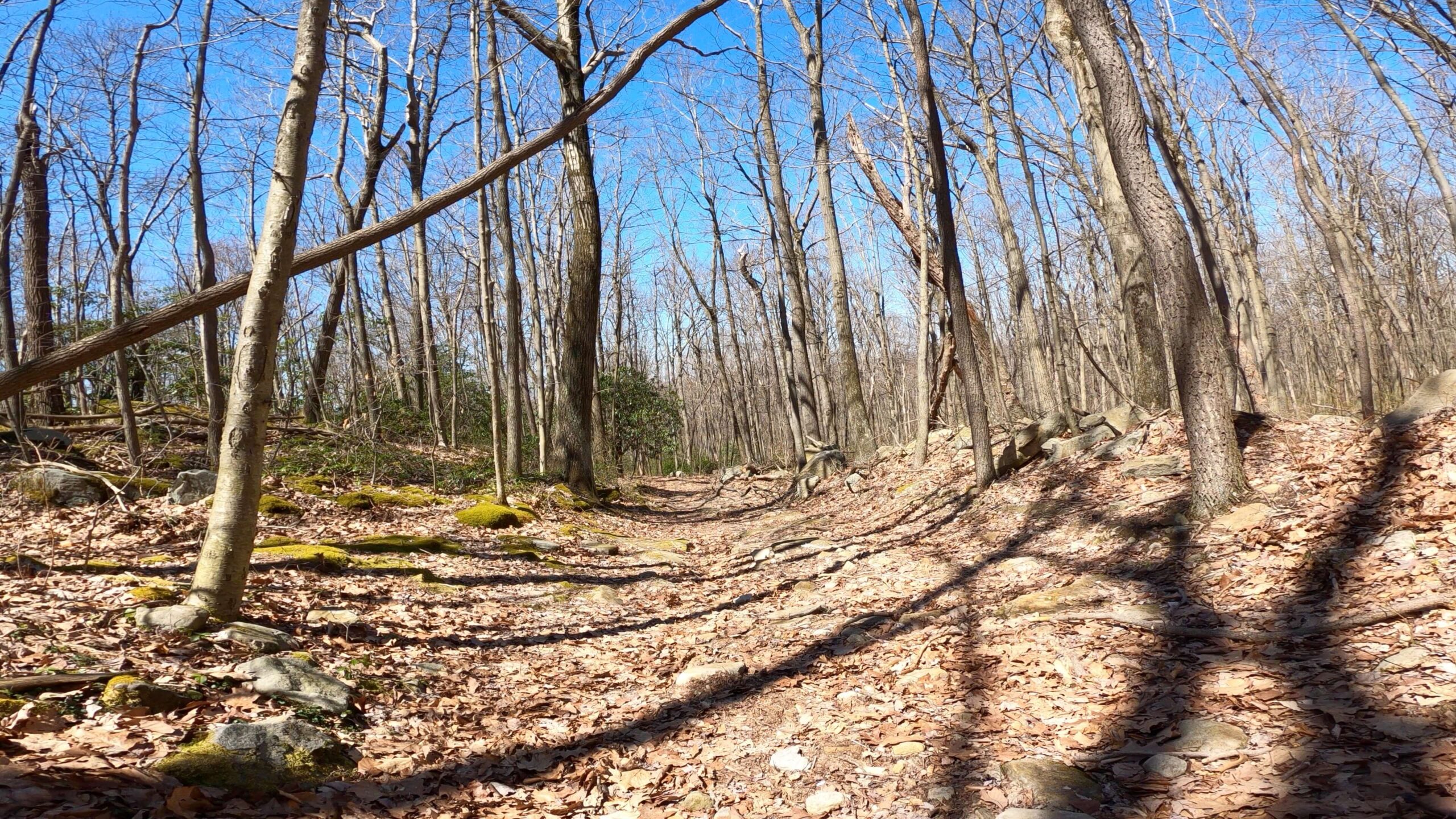 Mt. Streams Trail Tour - Another Shot of Rocky Descent