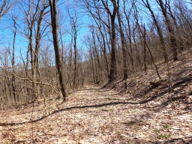 Mt. Streams Trail Tour - Another Shot of Top Section Near Tunnel Rd