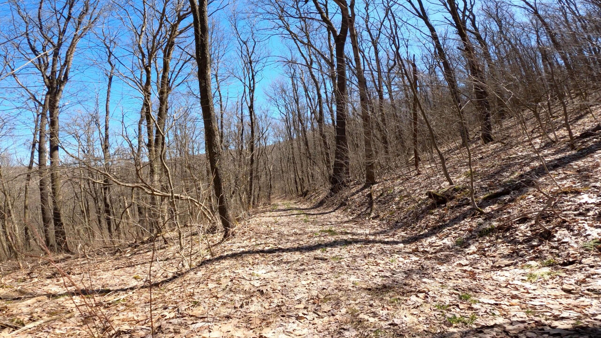 Mt. Streams Trail Tour - Another Shot of Top Section Near Tunnel Rd