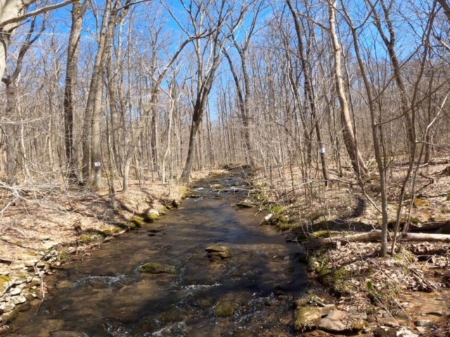 Mt. Streams Trail Tour - Camp Run