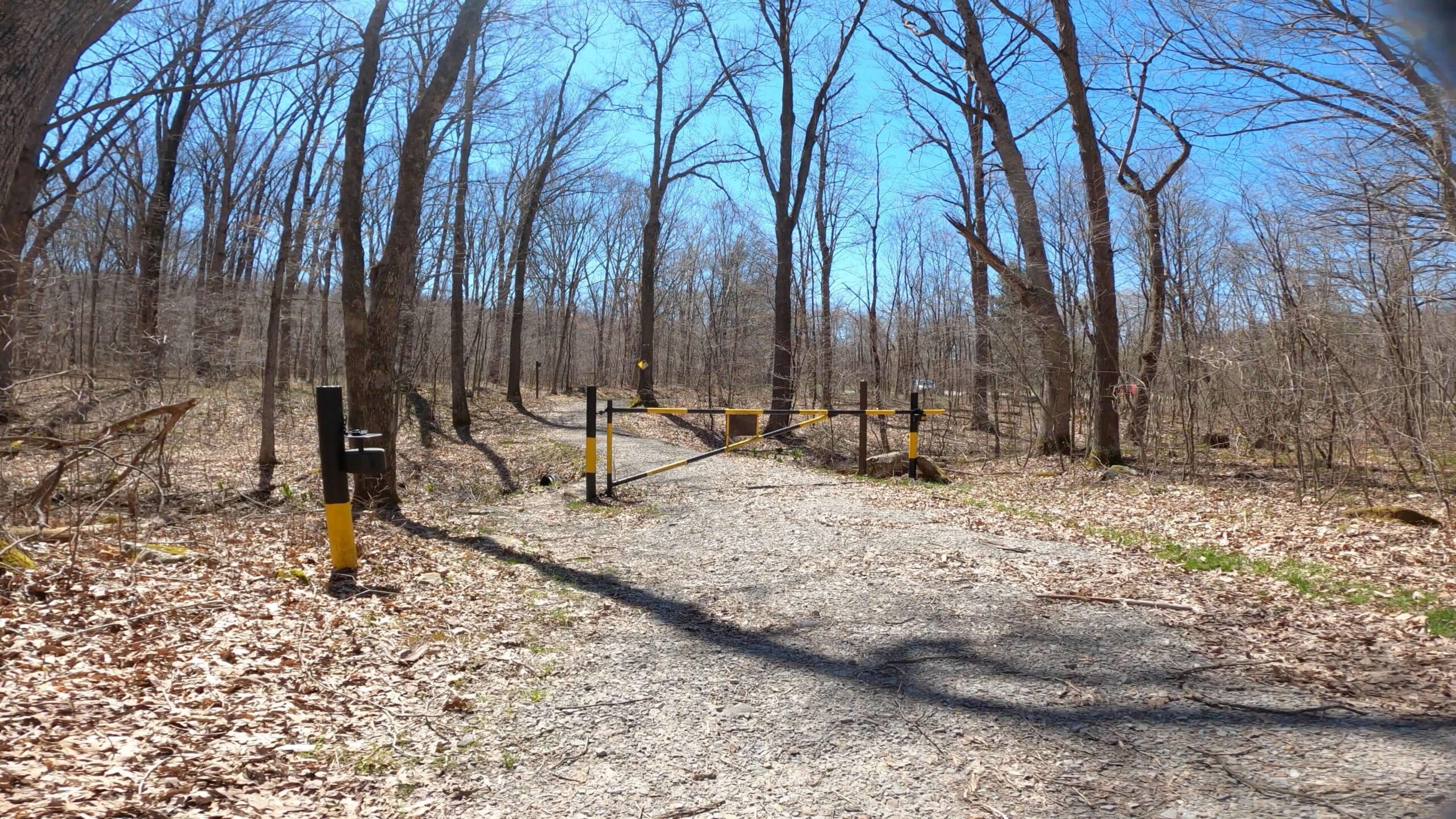 Mt. Streams Trail Tour - Gate at Camp Run Rd Lot