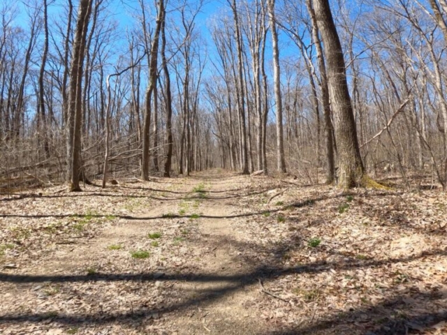 Mt. Streams Trail Tour - Long Straight from Stream Back to Camp Run Rd Lot