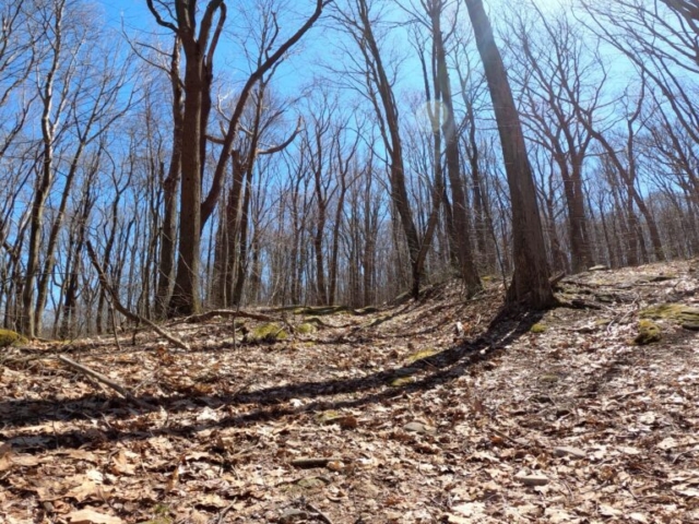 Mt. Streams Trail Tour - Shot of Rocky Descent Looking Up - Pic Doesn't Do Justice