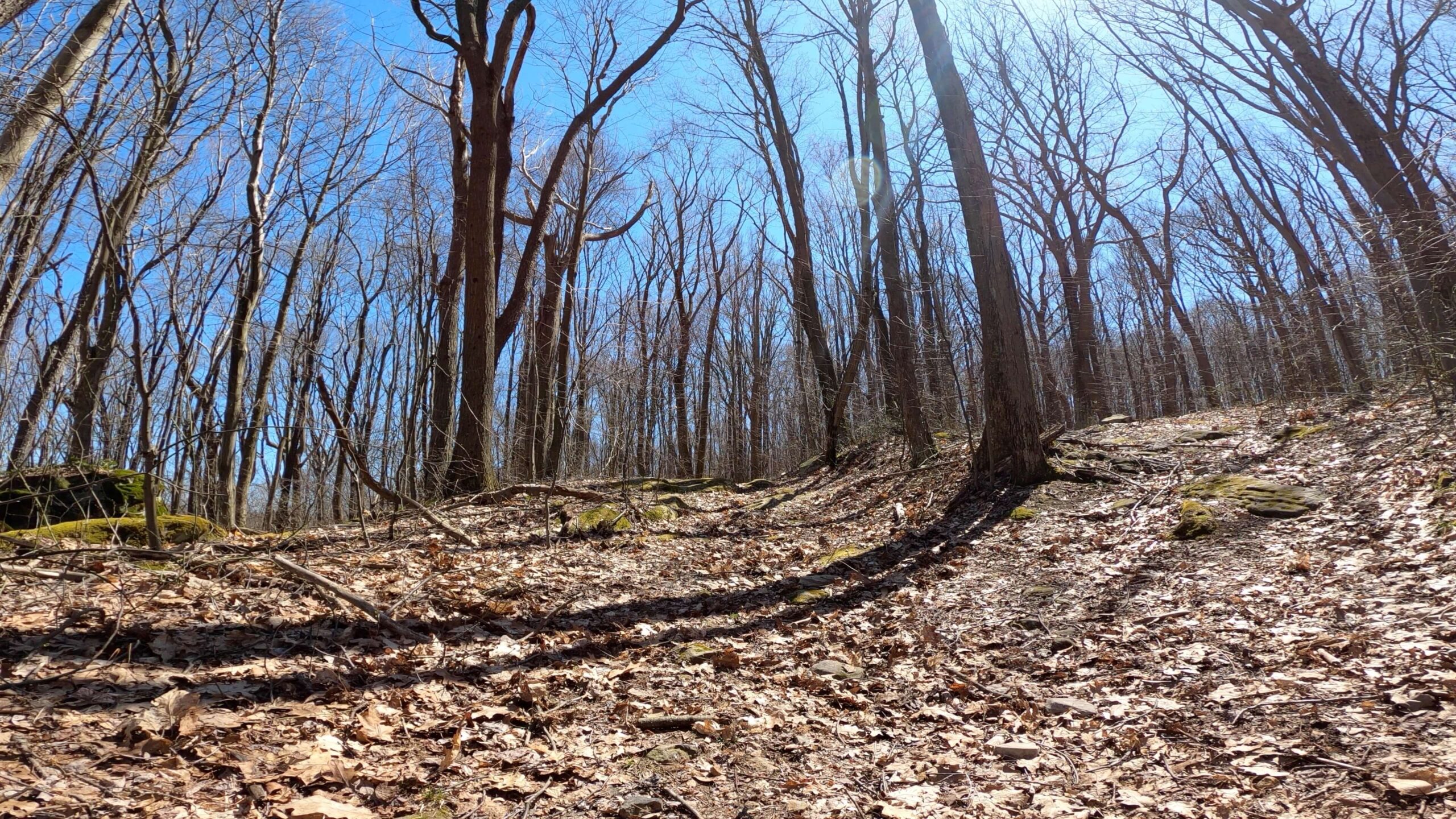 Mt. Streams Trail Tour - Shot of Rocky Descent Looking Up - Pic Doesn't Do Justice