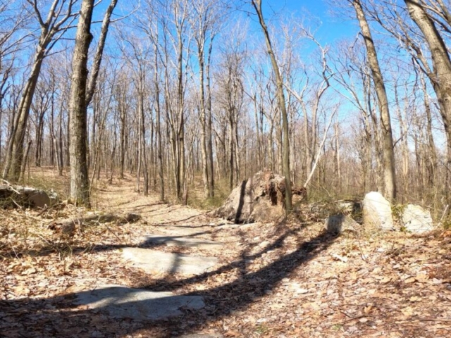 Mt. Streams Trail Tour - Start of Rocky Descent