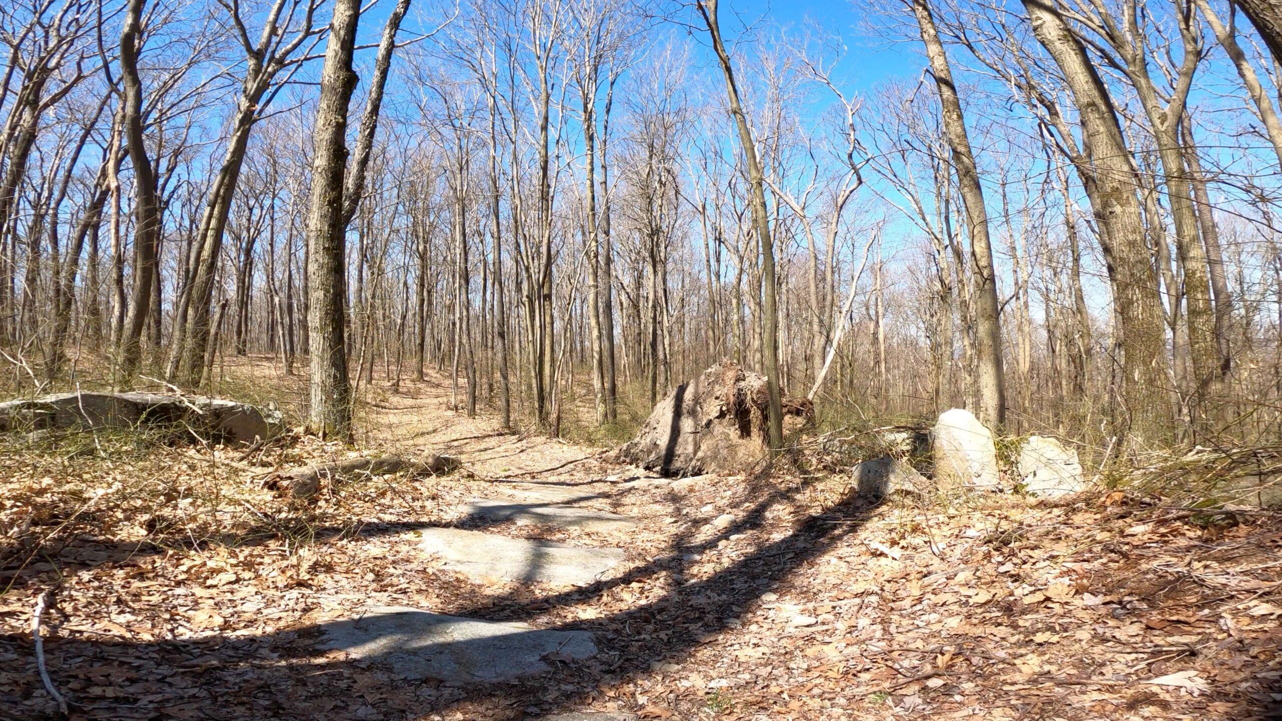 Mt. Streams Trail Tour - Start of Rocky Descent