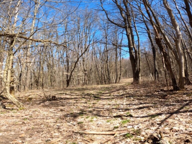 Mt. Streams Trail Tour - Top Section Near Tunnel Rd