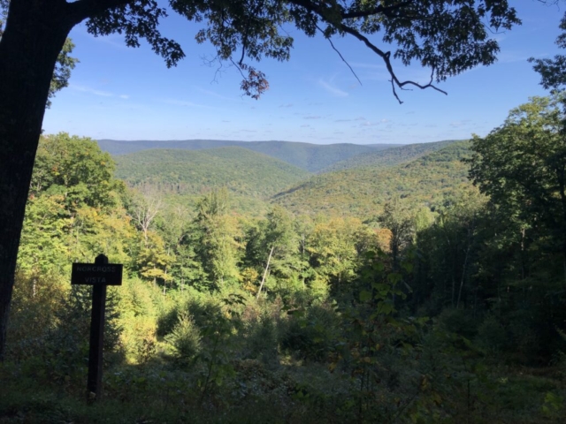 PLR - Sizerville - Elk State Forest - Norcross Vista