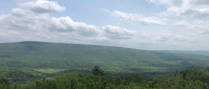 Social Media Shares: Rothrock State Forest Gravel/MTB Route w/ Tussey Ridge Trails