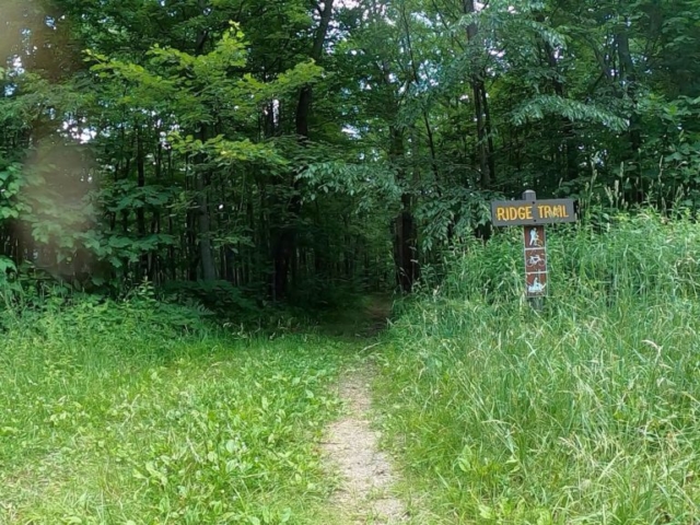 PEC Laurel Ridge-Forbes - Ridge Trail.