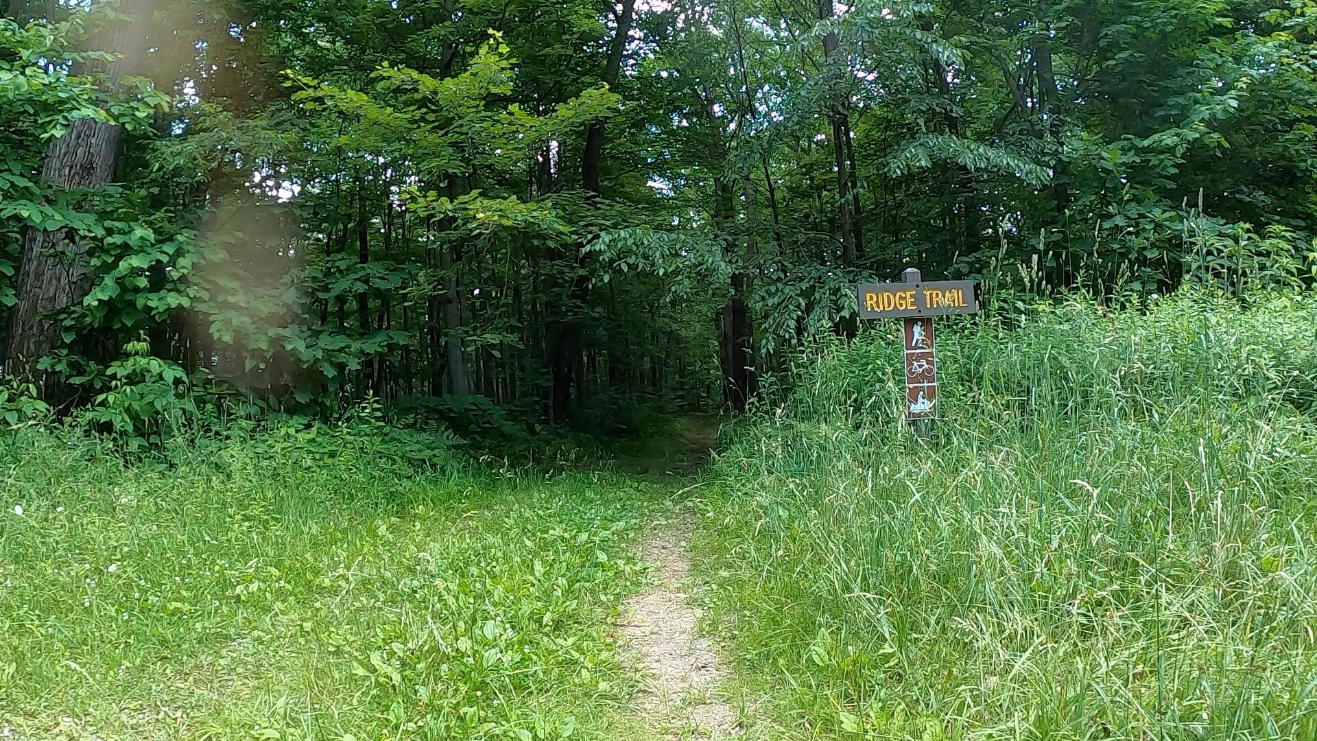 PEC Laurel Ridge-Forbes - Ridge Trail.