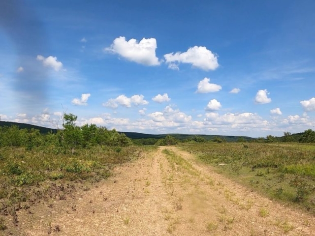 PEC Laurel Ridge-Forbes - Snowmobile trail leading to Turnpike crossing on the Laurel Highlands Hiking Trail.