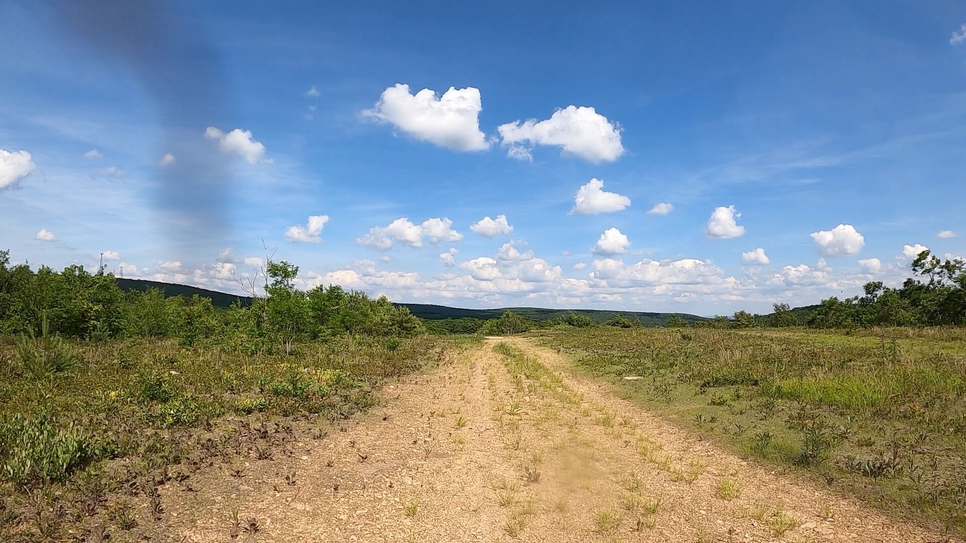 PEC Laurel Ridge-Forbes - Snowmobile trail leading to Turnpike crossing on the Laurel Highlands Hiking Trail.