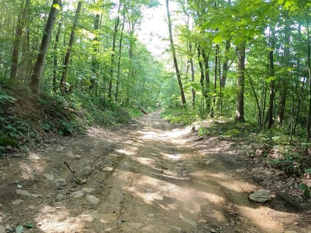 PEC Laurel Ridge-Forbes - Auckerman Road - gnarly, rough and steep downhill.